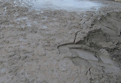 1571799708121655.jpg 1.jpg